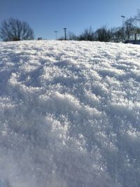 Scenic view of snow covered trees against sky