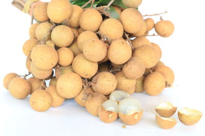 Close-up of eggs against white background