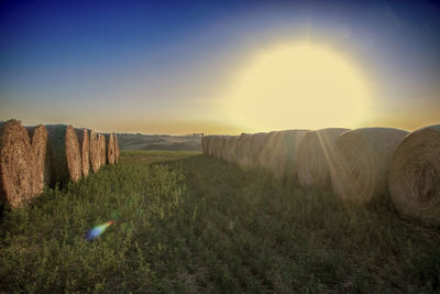 Scenic view of field against bright sun