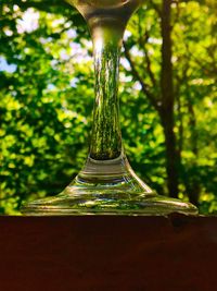 Close-up of water bottle on tree trunk