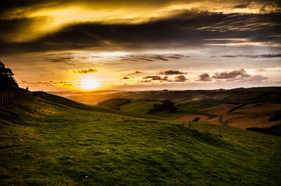 Scenic view of field against sky during sunset