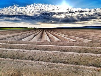 Scenic view of agricultural field against sky