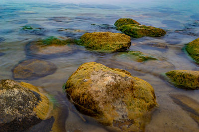 High angle view of rocks on beach