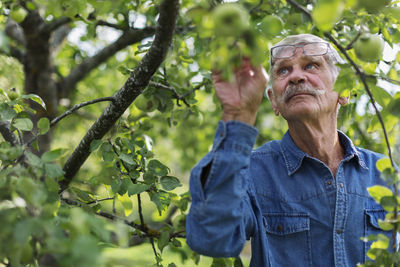 Senior man in garden