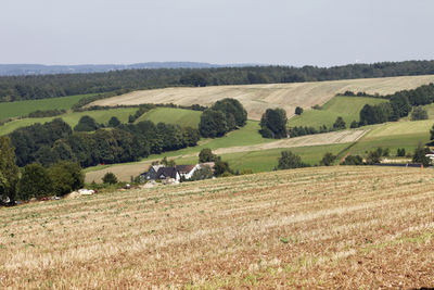 Scenic view of field against clear sky