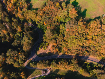 High angle view of trees by road in forest during autumn