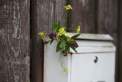 Close-up of small flower pot