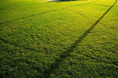 High angle view of grassy field