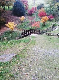 Footpath in park