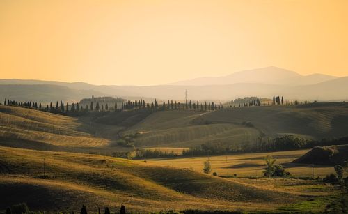 Scenic view of field against sky during sunset