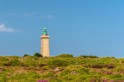 Lighthouse on cap frehel and the fields covered with violet flowers against blue sky on summer.