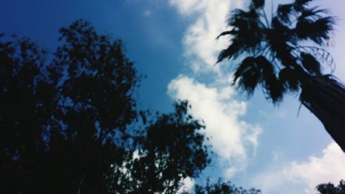 Low angle view of silhouette trees against sky