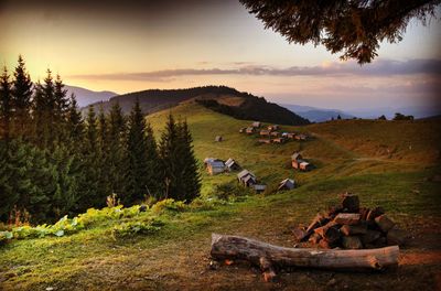 Scenic view of agricultural field against mountain range