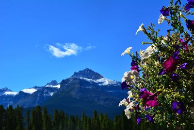 Scenic view of mountains against cloudy sky