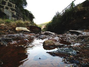 Stream amidst rocks in forest against sky