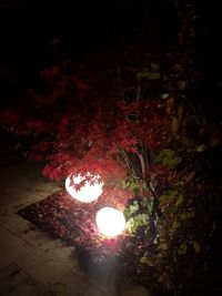 High angle view of illuminated lamp at night