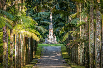 View of statue amidst palm trees