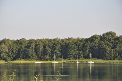 Scenic view of lake against clear sky