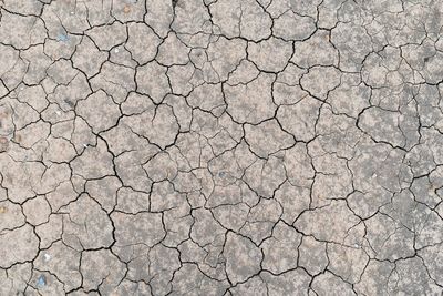 Full frame shot of cracked land