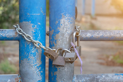 The old blue steel fence door locked with multiple locks and steel chains.