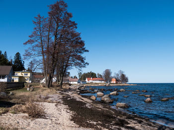 Scenic view of sea against clear blue sky