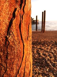 Close-up of shore at beach against sky