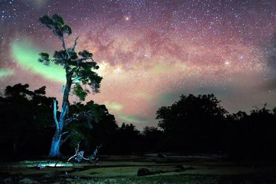 Scenic view of landscape against sky at night