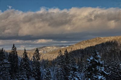 Scenic view of landscape against sky during winter