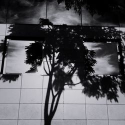 Close-up of silhouette drying against trees