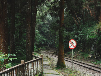 Road sign by trees in forest