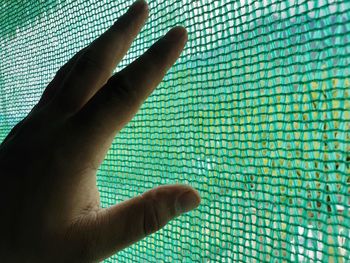 Close-up of hand touching leaf on swimming pool