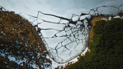 High angle view of plants by lake during winter