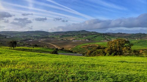 Scenic view of landscape against sky