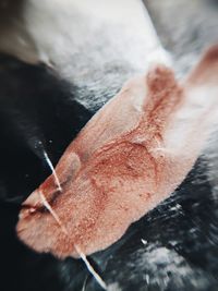 High angle view of hand holding ice cream