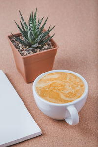 High angle view of potted plant on table