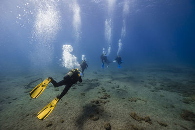 Scuba divers over ocean floor undersea