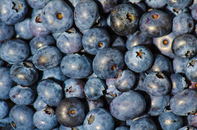 Full frame shot of blueberries