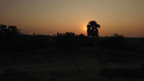 Silhouette trees on field against sky at sunset