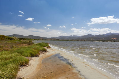 Scenic view of beach against sky