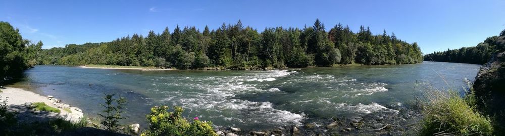 Scenic shot of river with trees in background