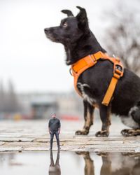 Man with dog standing by sea against sky