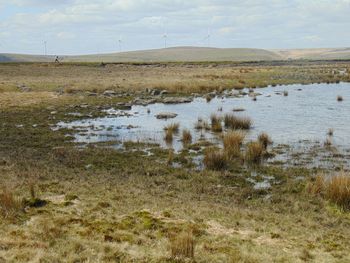 Scenic view of landscape against cloudy sky