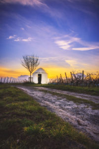 Scenic view of field against sky during sunset