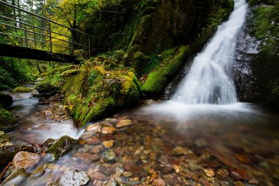 Idyllic shot of waterfall in forest