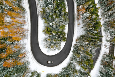 Aerial view of car on winding road in winter forest