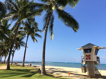 Palm trees on beach against sky