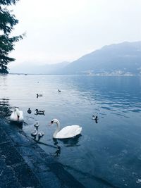 Scenic view of calm lake