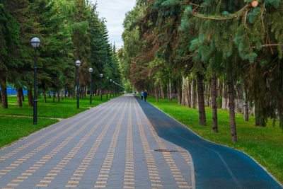 Road amidst trees in park