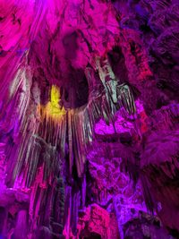 St. michael's cave, gibraltar