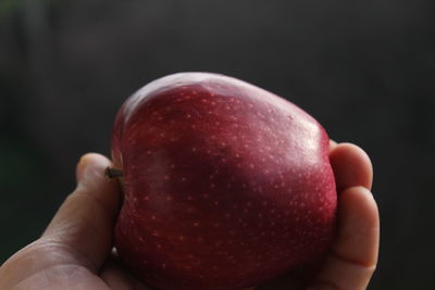 Close-up of hand holding apple against black background